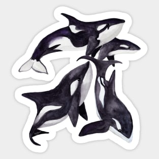 Orcas and Seal with blue fish Sticker